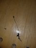 20170802_065200.jpg