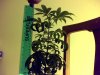 Snapshot_20090323_3.jpg