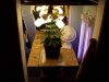 100_0017.jpg