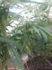 20170805_015020.jpg