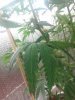 20170805_015111.jpg