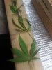 20170805_014745.jpg