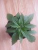 20170805_124723.jpg