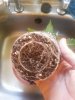 20170805_125043.jpg 20170805_125043.jpg