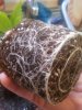 20170805_125100.jpg 20170805_125100.jpg