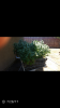Screenshot_2017-08-05-22-24-53.png