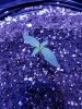 20170806_165606.jpg