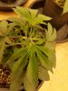 20170807_080542.jpg