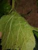 20170808_190620.jpg