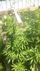 WP_20170805_023.jpg