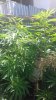 20170810_100126.jpg