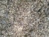 IMG_20170810_103421.jpg