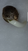 Screenshot_20170724-184202.png