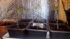 20170804_065648.jpg