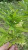 20170814_165801.jpg