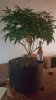 20170815_010435.jpg