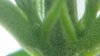 20170815_234124.jpg