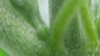 20170815_234336.jpg