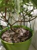 20170817_024445.jpg