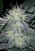 20170821_003702.jpg