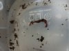 20170821_205639.jpg 20170821_205639.jpg