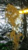 20170823_112629.jpg