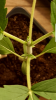 Screenshot_20170823-201414.png