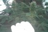 20170824_113059.jpg