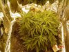 DSC02448.jpg
