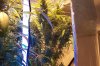 100_2623.jpg