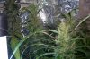 100_2638.jpg