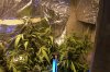 100_2624.jpg
