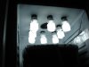 DSC03779.JPG