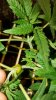20170825_071648.jpg