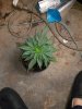 20170824_161444.jpg