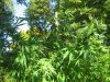 IMG_0885.JPG