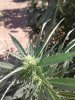 20170828_165444.jpg