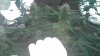 20170824_112653.jpg