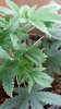 20170831_105515.jpg