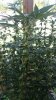 20170830_110351.jpg