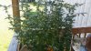20170830_110341.jpg