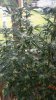 20170830_101521.jpg