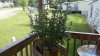 20170830_101445.jpg