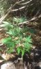 20170726_091202.jpg 20170726_091202.jpg