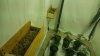 20170905_083840.jpg