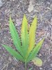 IMG_20170905_191605.jpg