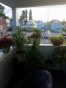 20170907_071911.jpg 20170907_071911.jpg