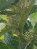 20170904_105952.jpg 20170904_105952.jpg