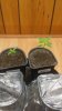 20170905_041113.jpg