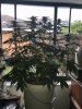 IMG_0658.JPG
